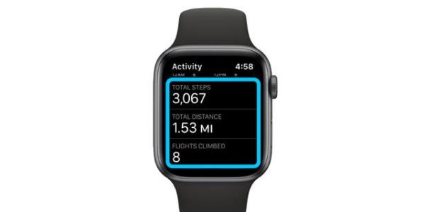 Use your Apple Watch to count steps.