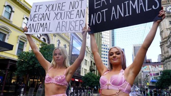 VEGAN LINGERIE PROTEST