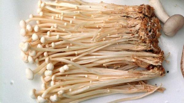 Enoki mushrooms. &#160; mushroom
/Mushrooms