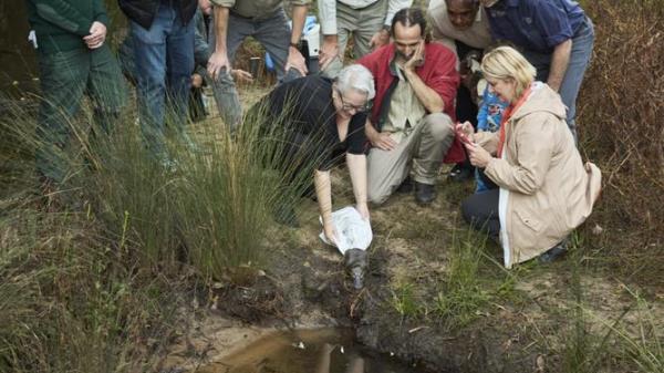 Minister for Enviro<em></em>nment Penny Sharpe, Dr Gilad Bino, Heathcote MP Maryanne Stuart release playtpus in Royal Natio<em></em>nal Park