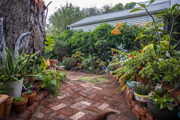 Marion Fredriksson at her Mosman Park home which is blooming with succulents and quirky pots. Kelsey Reid