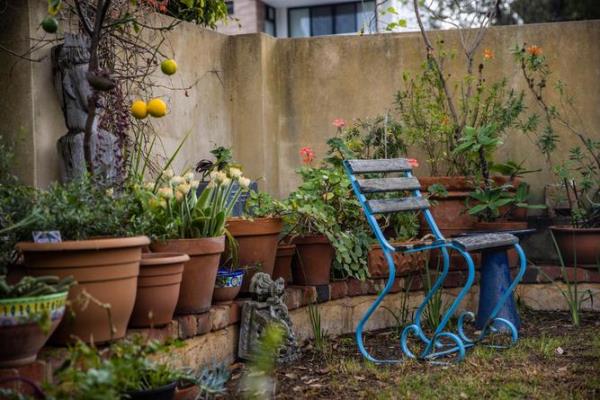 Marion Fredriksson at her Mosman Park home which is blooming with succulents and quirky pots. Kelsey Reid